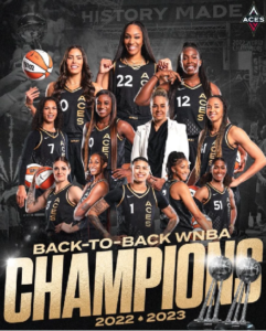 Read more about the article Printable 2024 WNBA Playoff Bracket