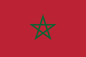 Red flag with a centered green five-pointed star outline on a solid red field