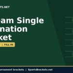 Hero banner for SportsBrackets.net: dark green background with a diagonal lighter green shape, large white text '48-Team Single Elimination Bracket' and pale outline brackets on the right, yellow rounded label 'BLANK | PRINT | FILL IN', plus a navy bottom stripe reading 'Free printable tournament brackets | SportsBrackets.net'