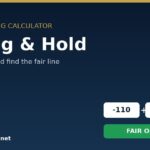 Sports betting calculator banner: 'No-Vig & Hold' headline with -110 odds and a green 'FAIR ODDS' button on a dark gradient background.