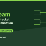 13-team seeded single-elimination bracket, free printable PDF from SportsBrackets.net